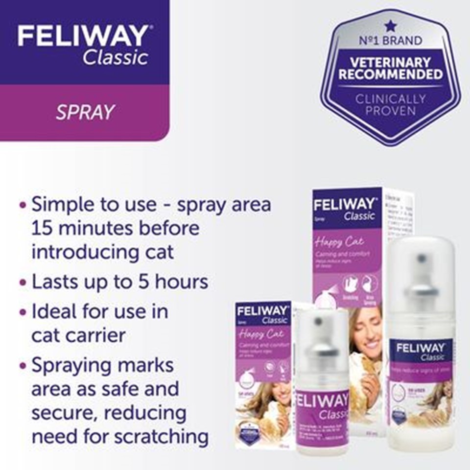 Feliway spray tesco best sale