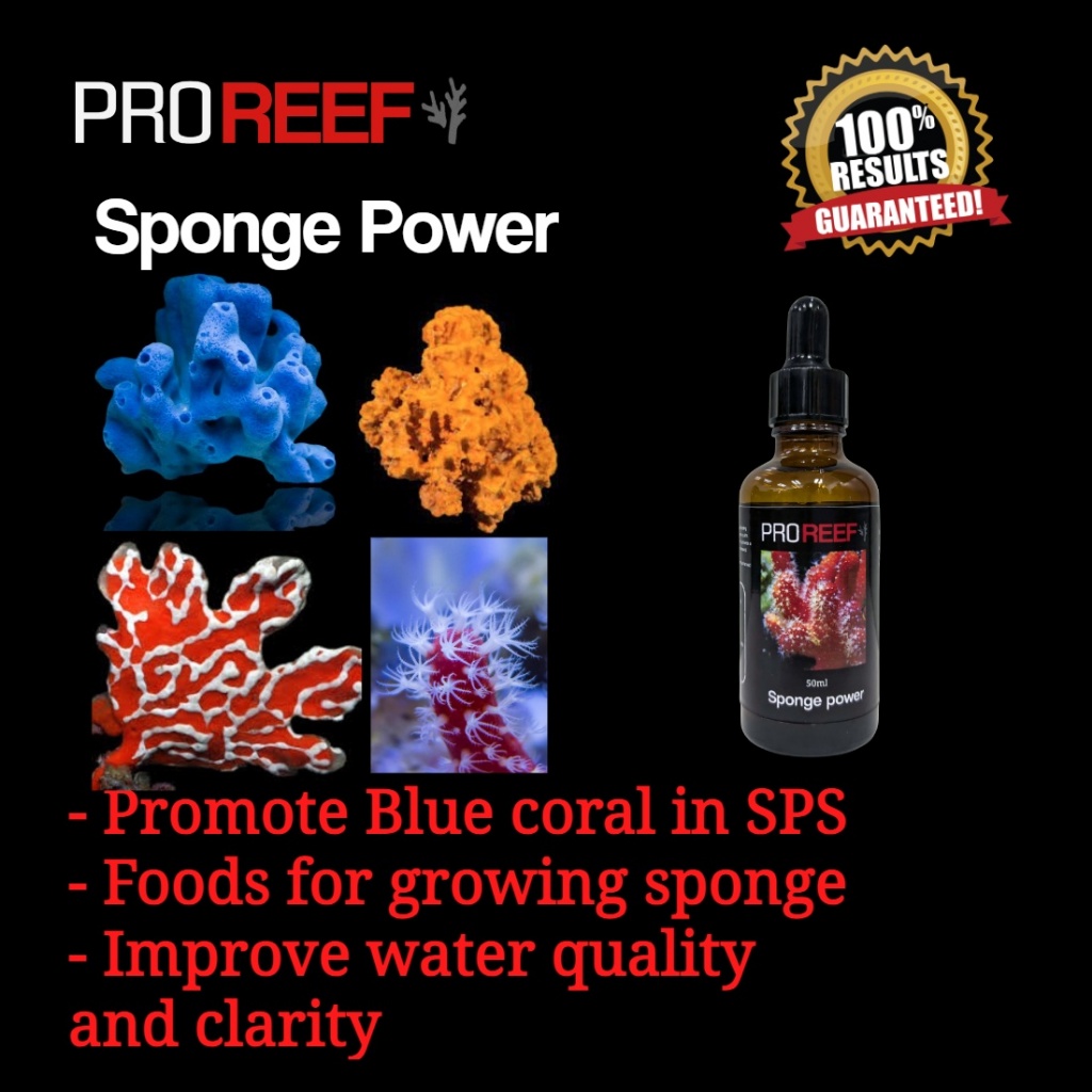 Picture Idea: Pro Reef Marine Aquarium Sponge Power 50Ml Promote Sponge Grow