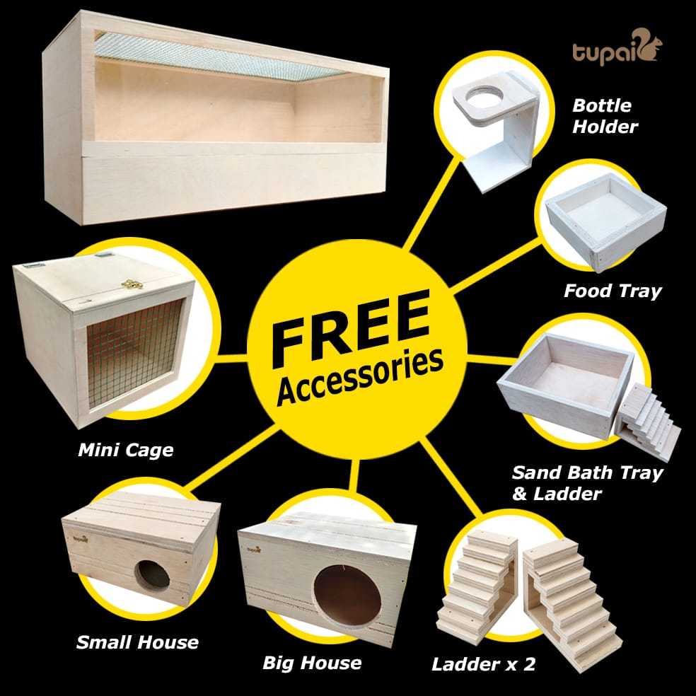 Curated visual reference: Fresh Look at Hamster Cage Guinea Pig Buy 1 Free 7 Tortoise Reptile