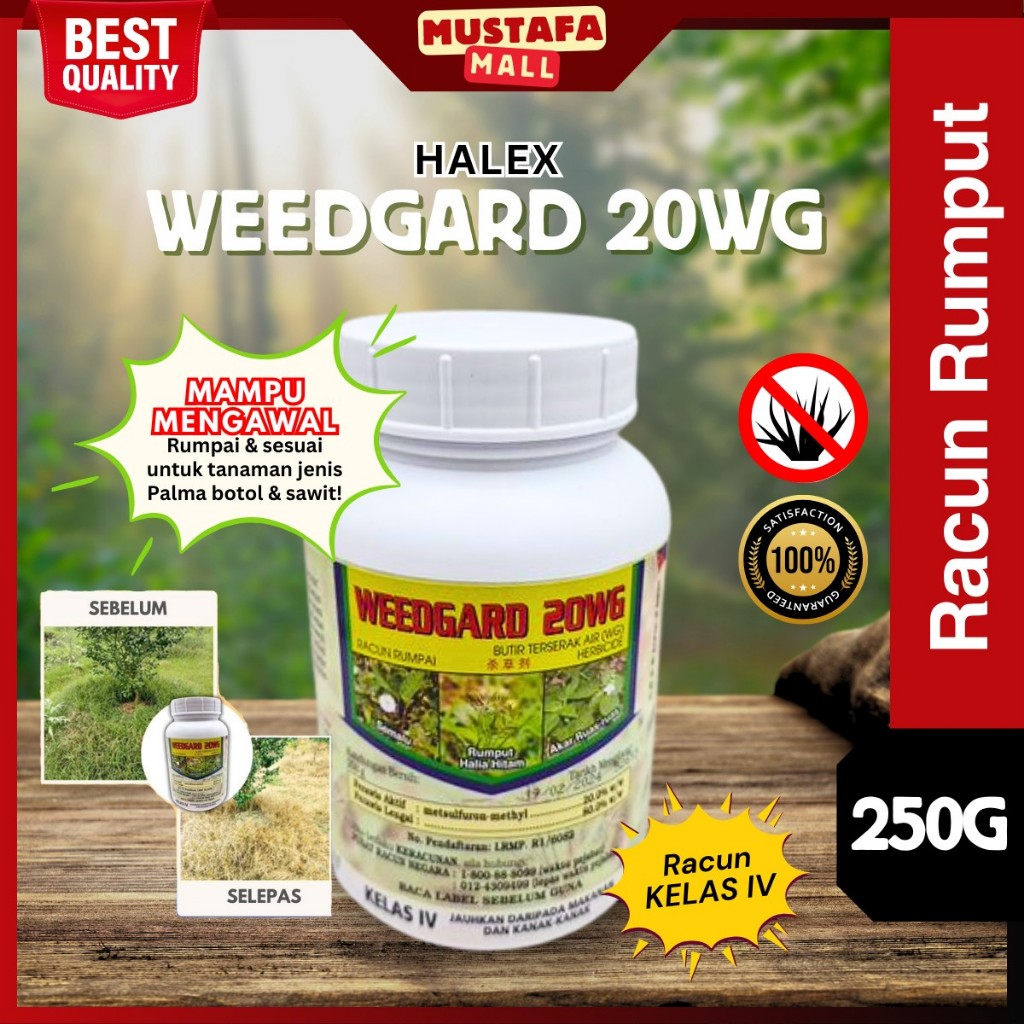 Racun Rumput Weedgard 250g pertanian berkesan formula kuat halia hitam ...