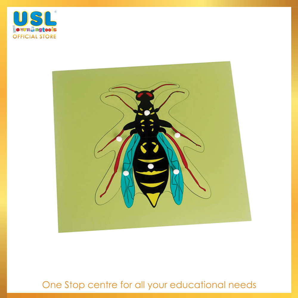 Insect Puzzle - Bug | Science | Shopee Malaysia