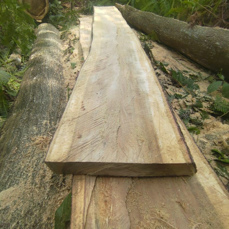 wood slab - Prices and Promotions - Oct 2026 | Shopee Malaysia