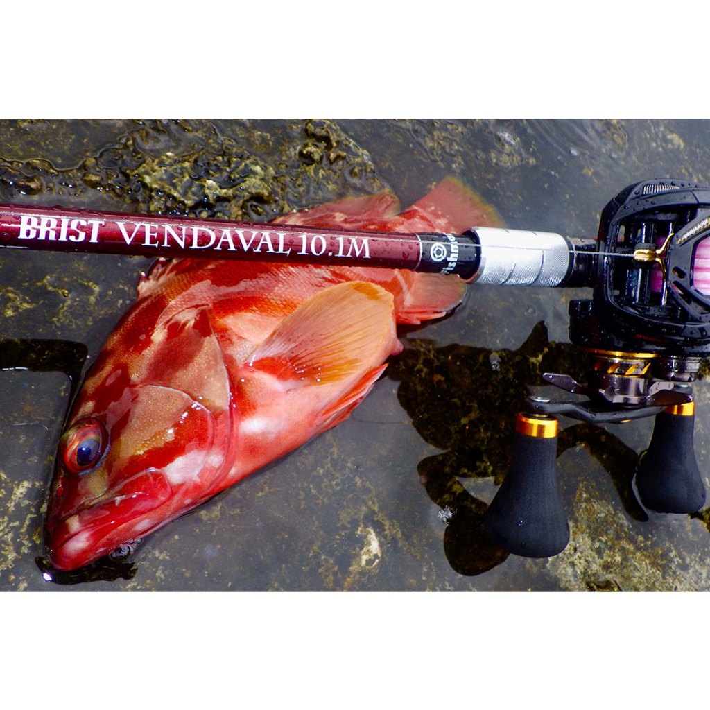 fishman Brist VENDAVAL10.1Ｍ PLAT/fishman brist vendaval 10 1m/rod-Fishing Tackle Store-en