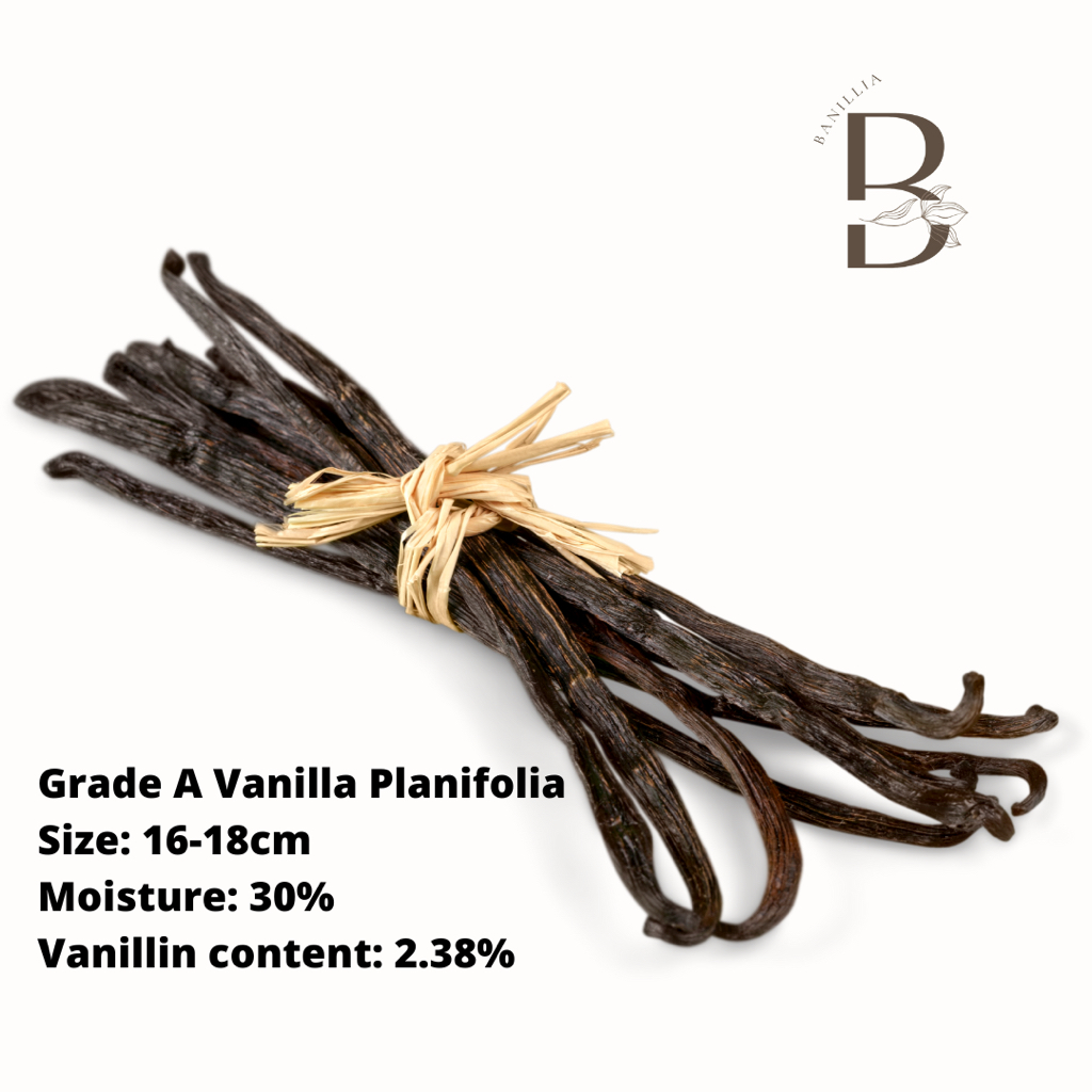 10 Premium Grade A Organic Planifolia Vanilla Bean Pod from Bali