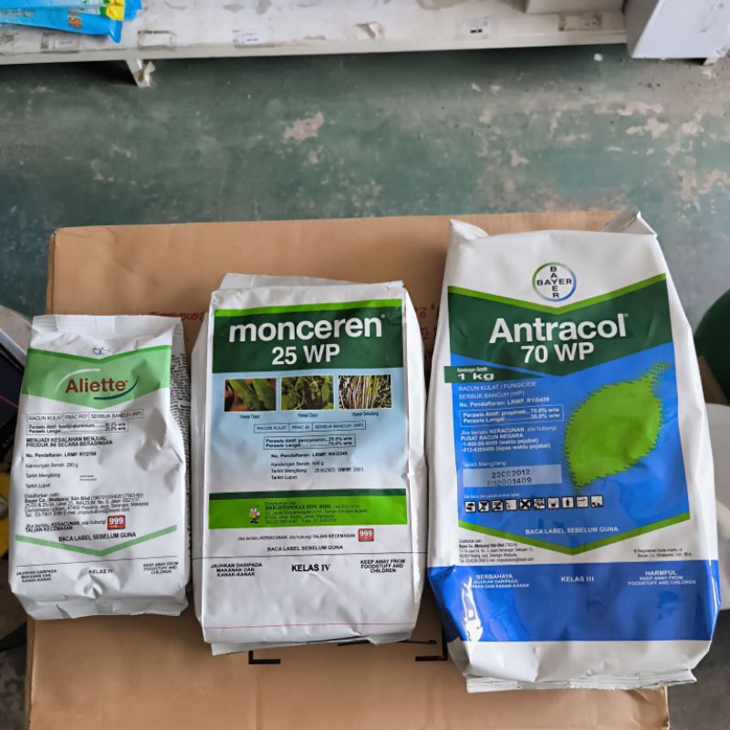 Aliette 250g monceren 25 WP Antracol 70 WP Set Fungicide Racun Kulat ...