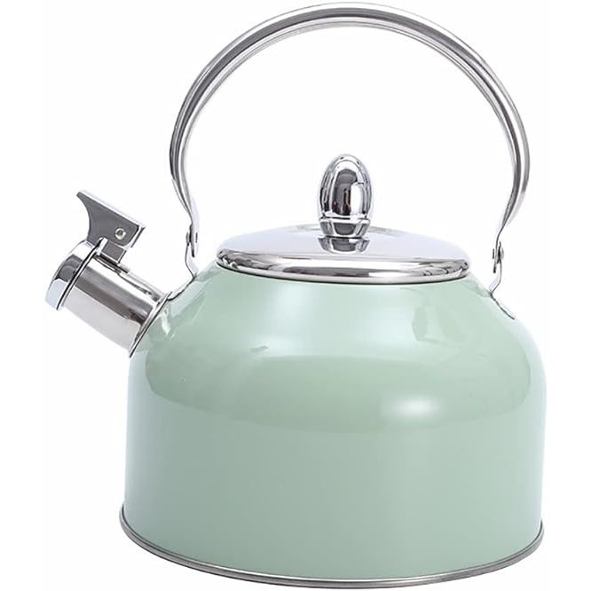 Fast Boiling Whistling Teapot for Stove top, Stainless Steel 3L Water