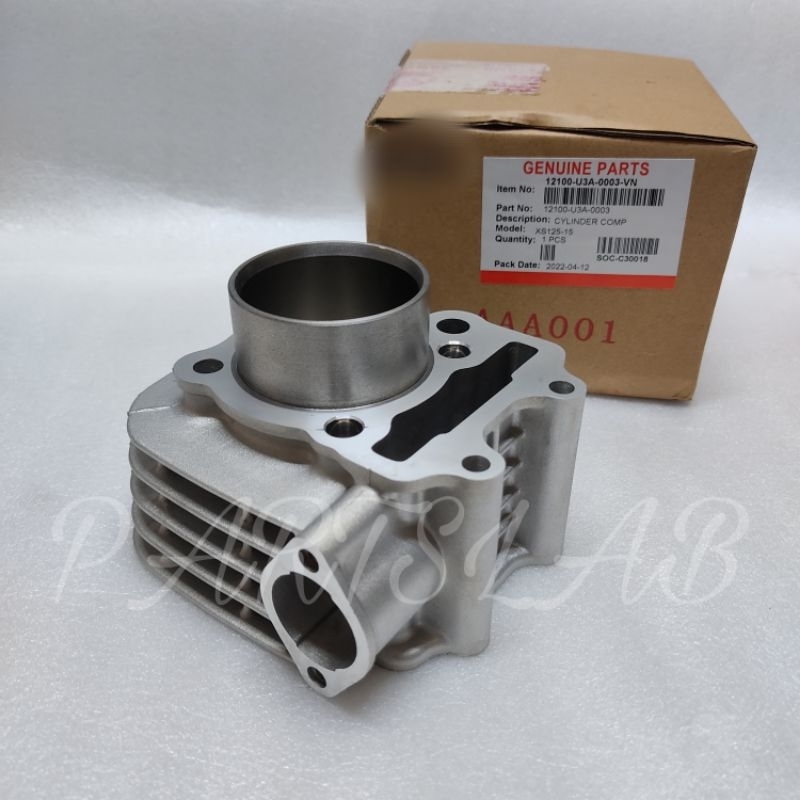 SYM SPORT RIDER 125I CYLINDER BLOCK CYLINDER COMP 12100-U3A-0003-VN ...