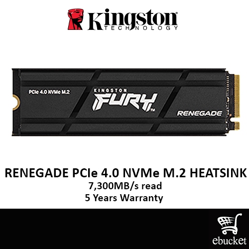 Kingston FURY Renegade with Heatsink PCIe 4.0 NVMe M.2 SSD (SFYRSK/500G ...