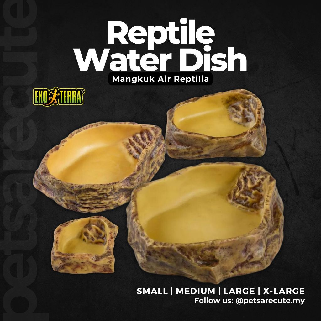 PETSARECUTE Exo Terra Water Dish Reptile Water Dish Mangkuk Air Reptilia Shopee Malaysia