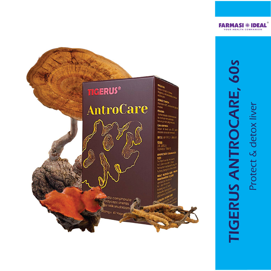 TIGERUS® AntroCare 400mg 60’s - Liver detox, improve blood circulation ...