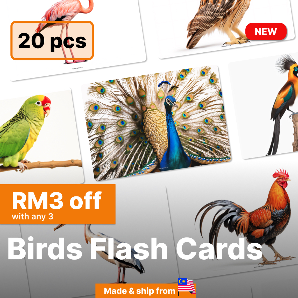 Birds Big Flash Cards for Kids, Baby, Big Flash Card, Flashcard, Flashcards, Bayi, toys