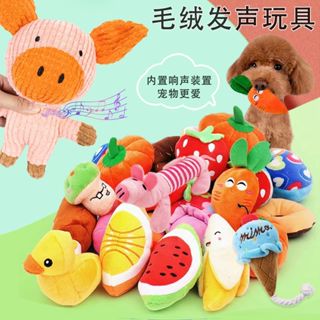 Buy pet cheap toys online