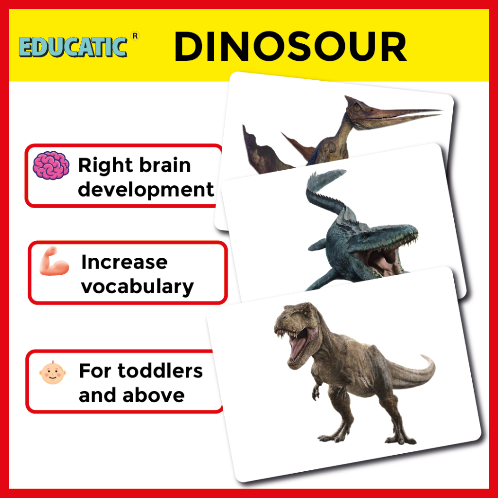 BIG FLASH CARD Dinosaurs Flash Cards for Kids, Baby, Big Flash Card ...