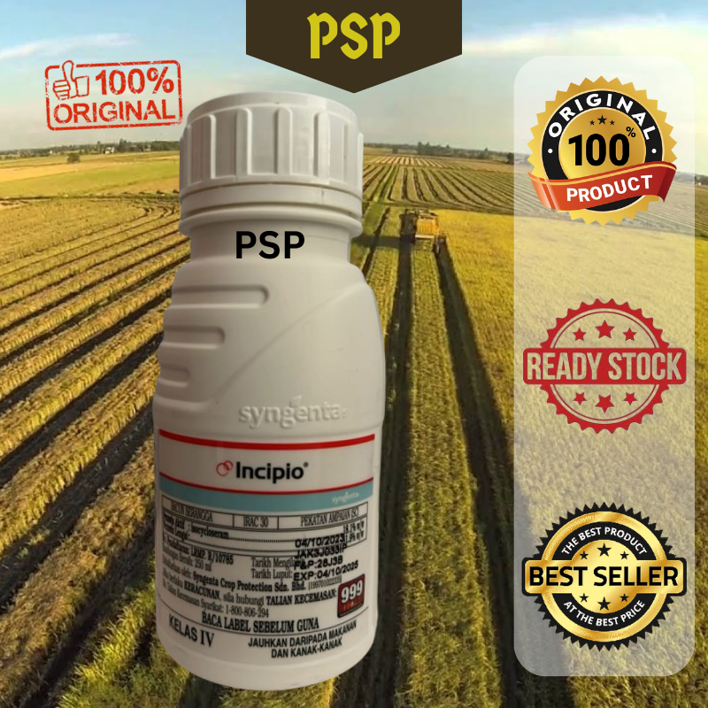 250ML Incipio Syngenta Insecticide Racun Serangga Paddy Padi ...