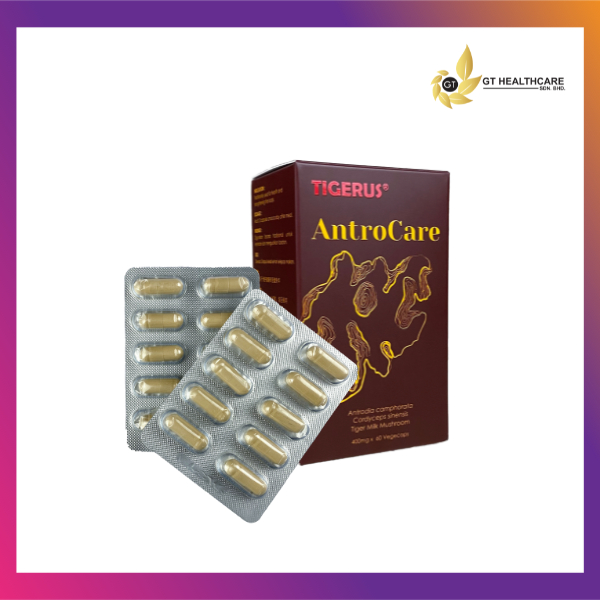 TIGERUS Antrocare 400mg | Liver Detox + Tiger Milk Mushroom + Cordyceps ...
