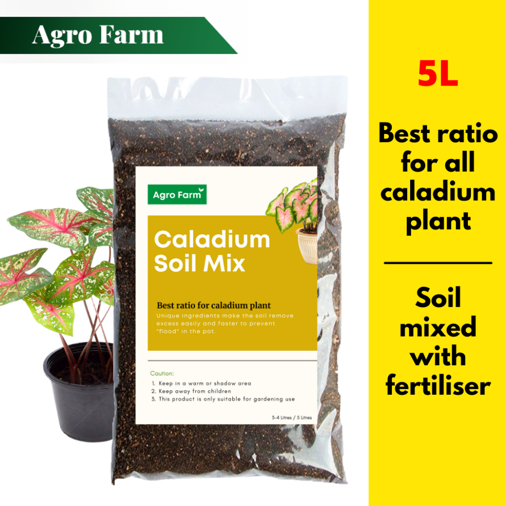 Agro Farm Premium Caladium Soil Mix / Soil for plants / Aroid Soil Mix