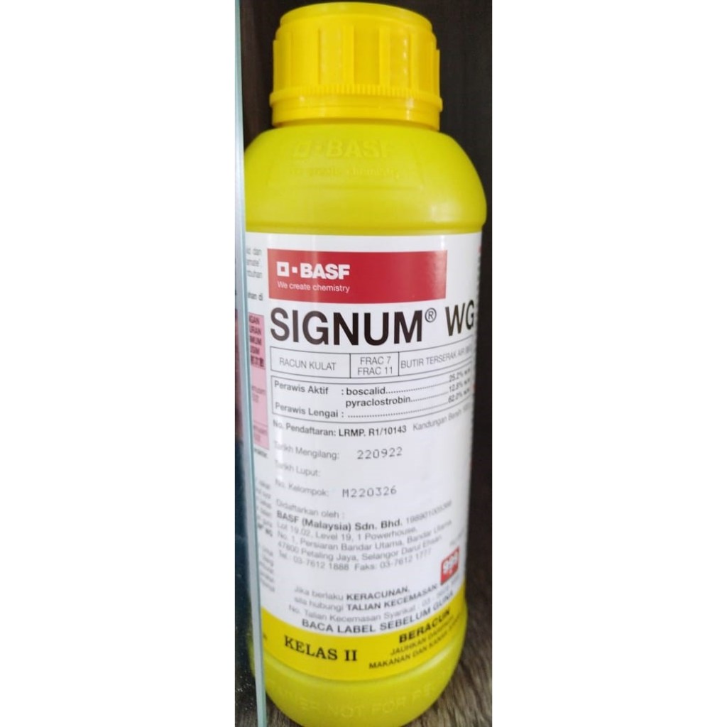 👉🏻ORIGINAL👈🏻 Fungiside BASF Signum (A.i boscalid 25.2% + pyraclostrobin ...