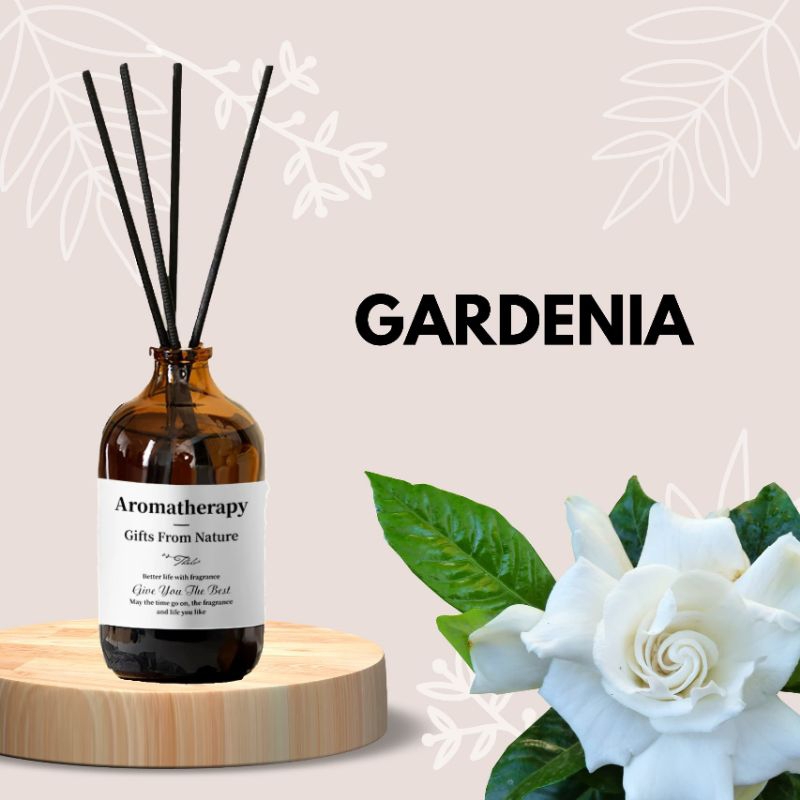 Scent Out BUY 1 FREE 1 Premium Essential 0il Reed Diffuser Room ...