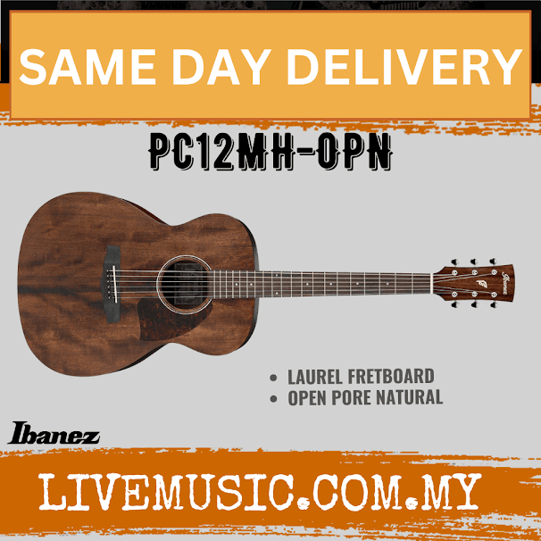 Ibanez PC12MH Grand Concert Acoustic Guitar - Open Pore Natural ...