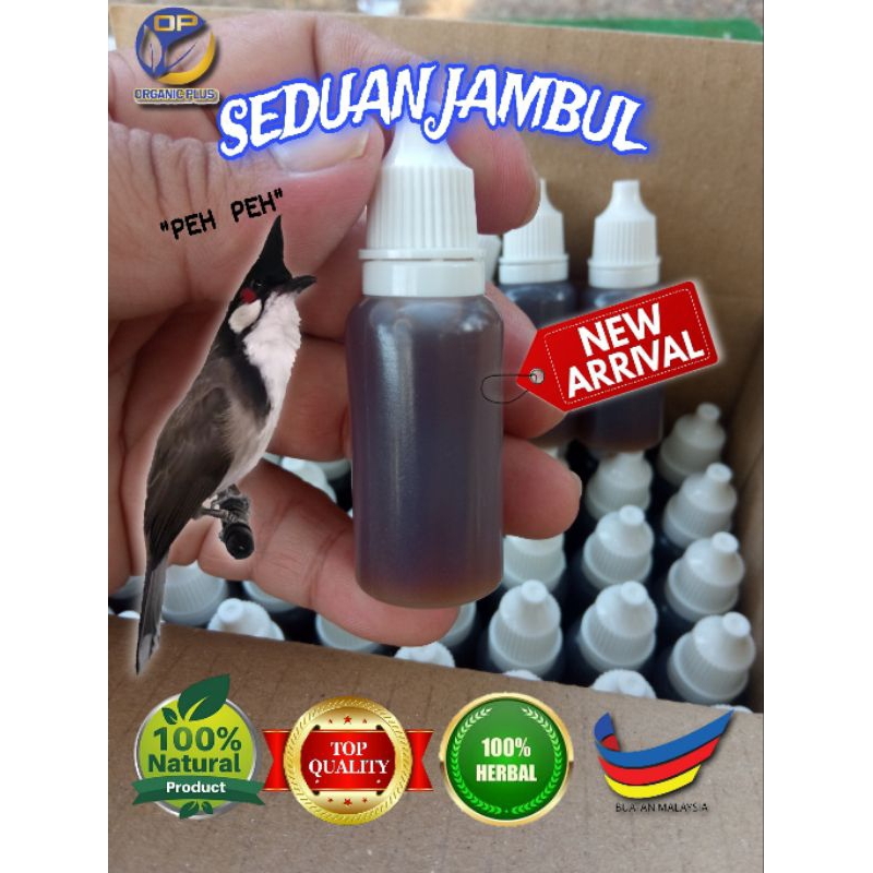SEDUAN JAMBUL BURUNG MERBAH JAMBUL/CANDIK | Shopee Malaysia