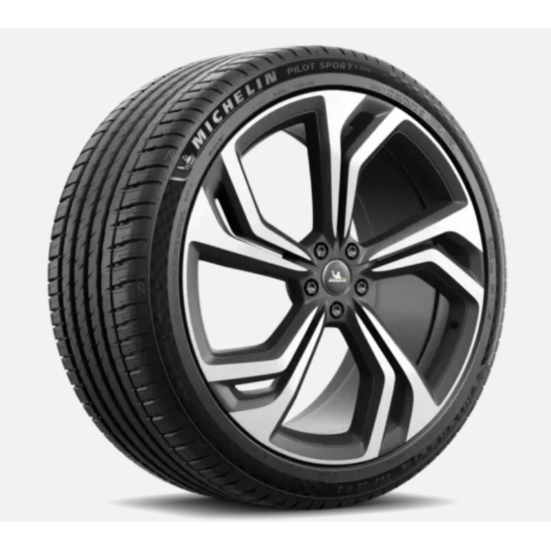 205/50R16 Michelin Pilot Sport Tyre | Shopee Malaysia