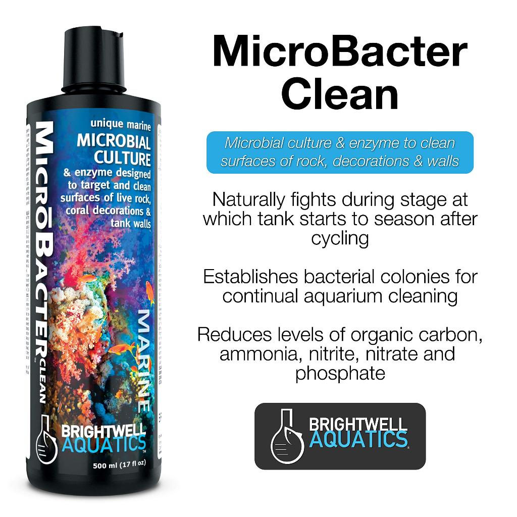Bactérias Brightwell Aquatics Microbacter Clean 500ml | Parcelamento