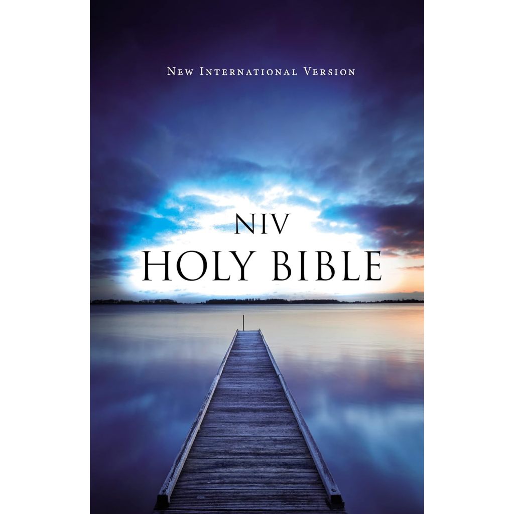 NIV Value Outreach Bible, Paperback * English Bible * Chosen Treasure ...