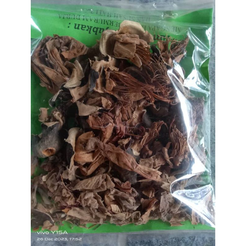 Bunga Mukmin atau bunga ratu pari | Shopee Malaysia