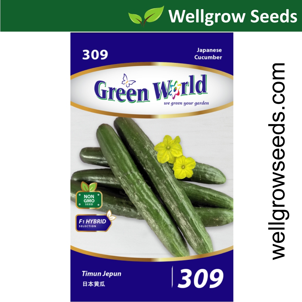 Cucumber Japanese (20 seeds) 日本风味黄瓜 Biji Benih Timun Jepun Green World ...