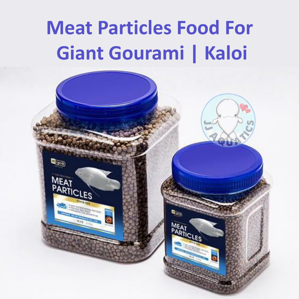 🔥Ready Stock🔥Yee Giant Gourami Kaloi Fish Meat Particle Granule Food ...