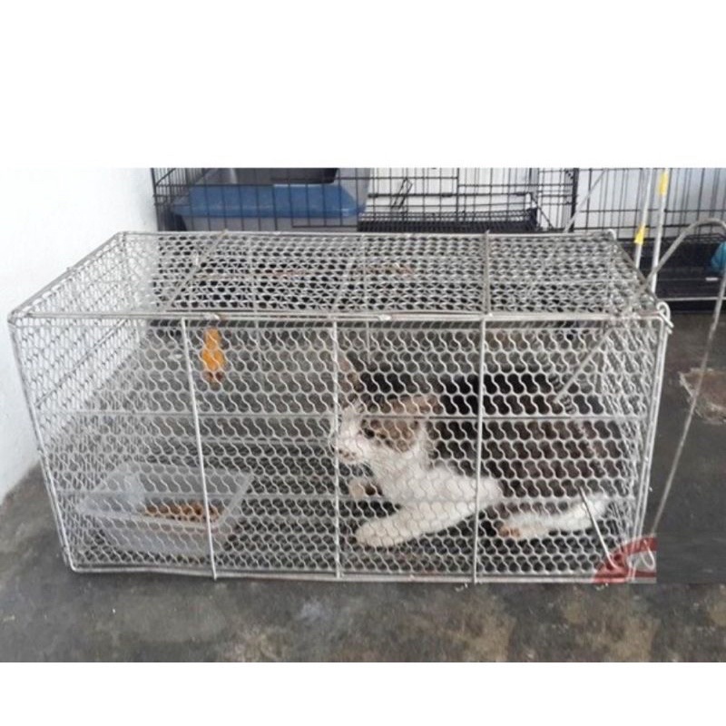 Metallogy Big Cage Monkey Fox Squirrel Sangkar Besar Kucing Tupai ...