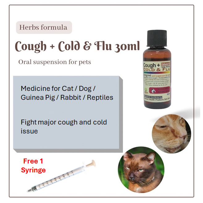 Thumbnail for Herbal Remedies For Guinea Pig Dry Cough