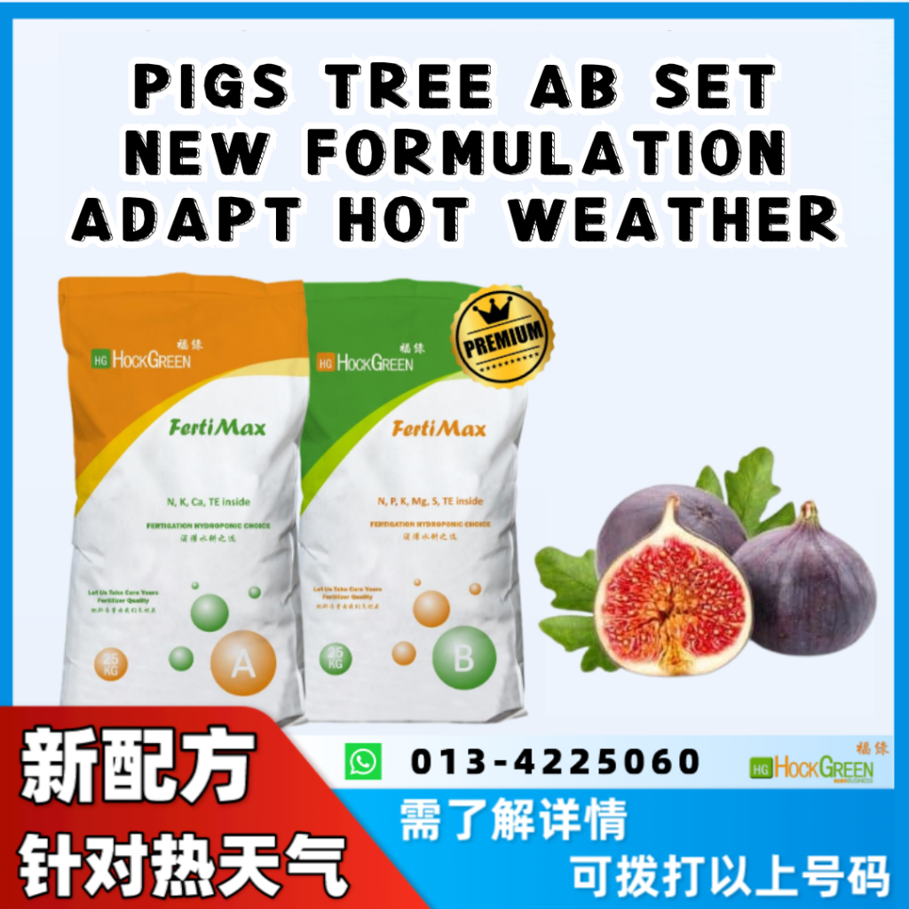 [ HG Expert ] FERTIGATION FERTILIZER SET BAJA AB 20KG - FIGS TREE ...