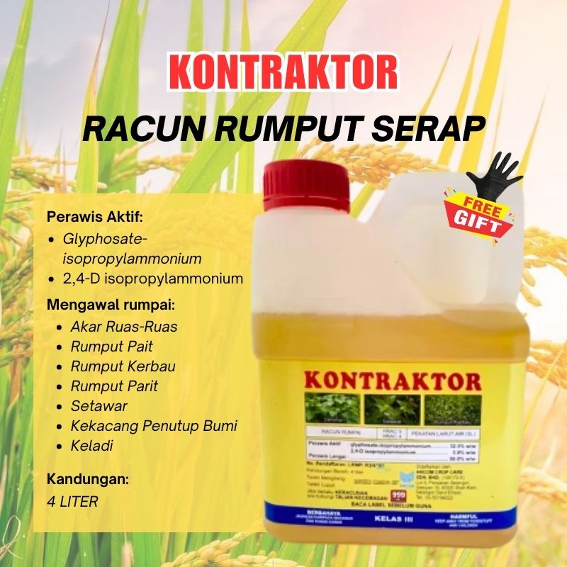 Racun Rumput Serap Racun Kontraktor Racun Rumpai Padi Racun Keladi Agas ...