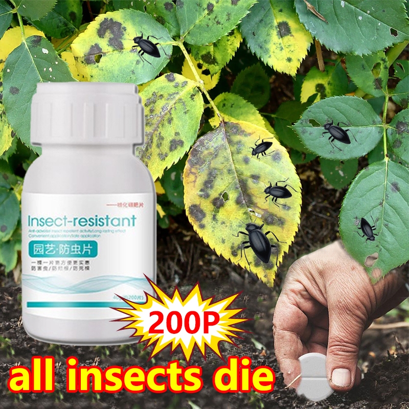 WR Racun serangga tanaman Plant insect repellent Pesticides for plants