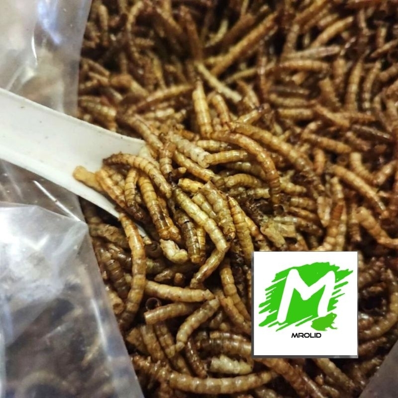 Mealworm kering. 25gram makanan ikan hamster sugar glider burung Shopee Malaysia