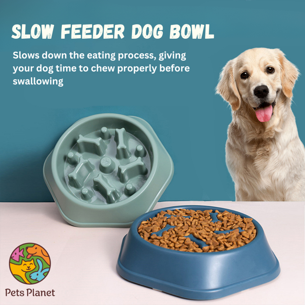 Pet Slow Feeding Bowl Dog Slow Eating Bowl Anti Gulping Bowl Pet Bowl Slow Feeder Dog Feeding Bowl Shopee Malaysia