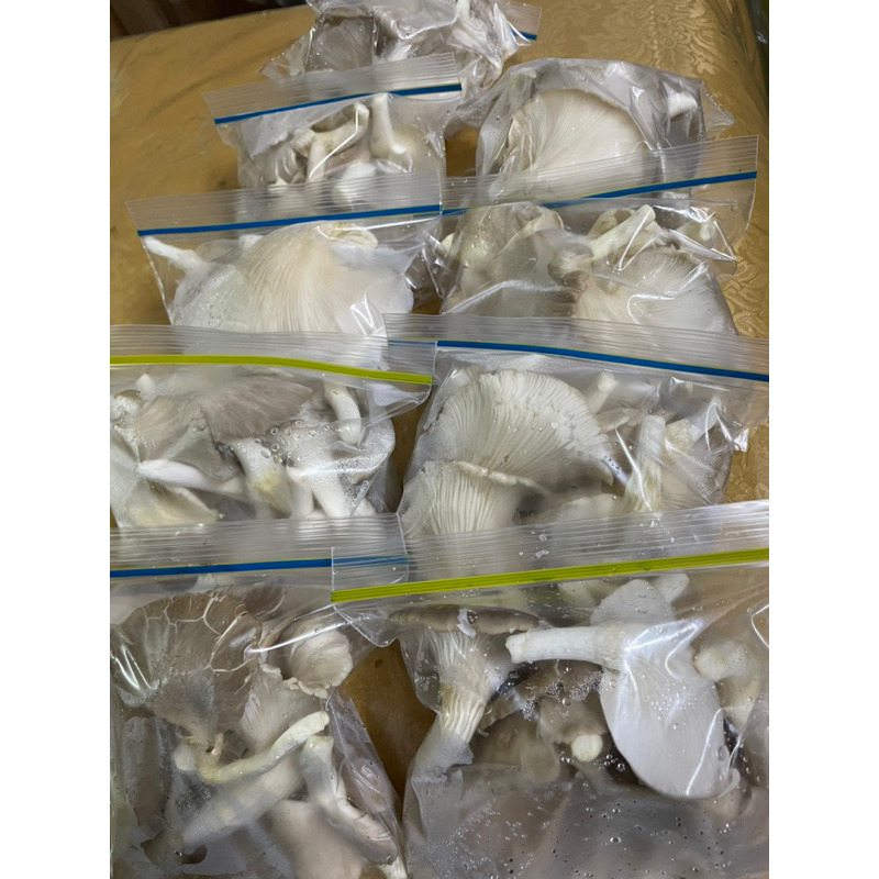 Cendawan Tiram segar dari ladang(Oyster mushroom) | Shopee Malaysia