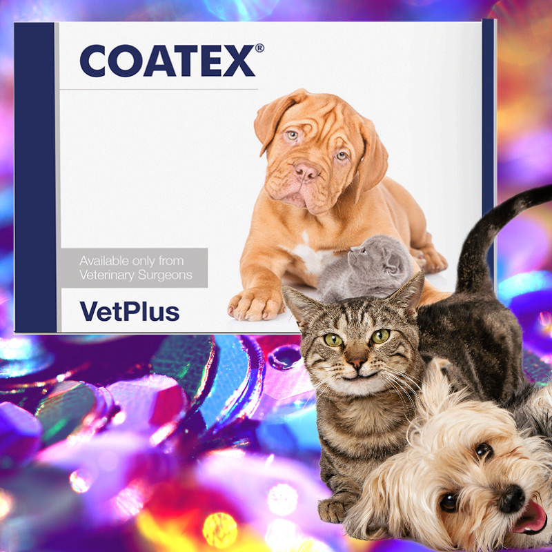 Coatex 60 Capsules for Cats and Dogs skin supplement oil omega capsule