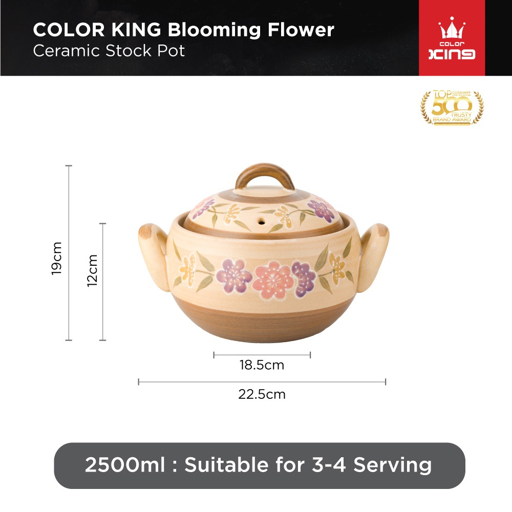 Color King Blooming Flower 100 Ceramic Stock Pot 2500ml/ Ceramic