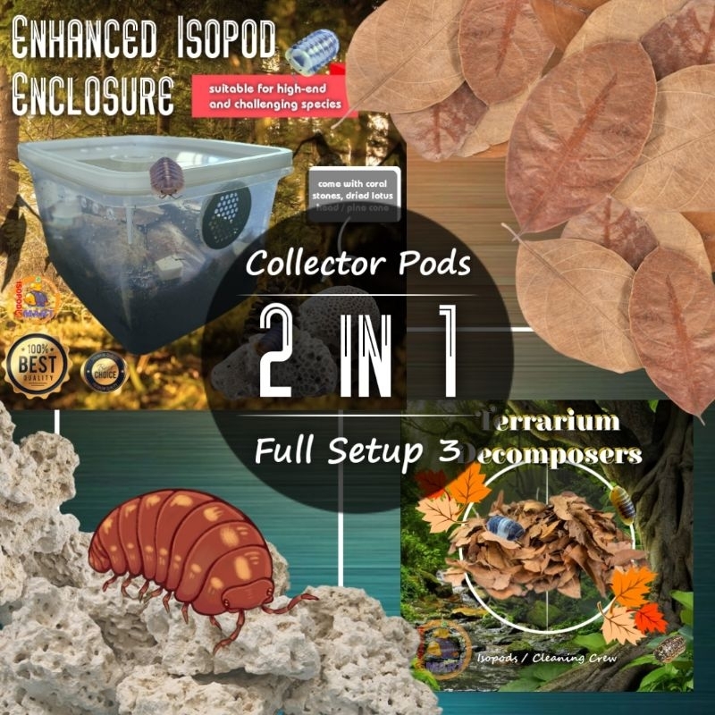 [Isopodsmart] Fully Setup Kit with Collector Isopods / All-in-One ...