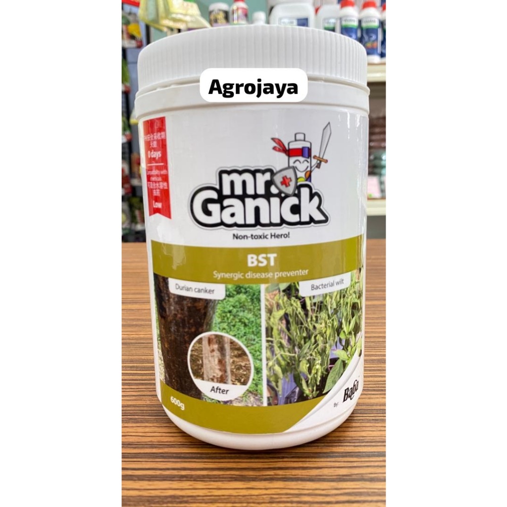 Baba BST Mr Ganick Bacillus Subtilis-Trichoderma | Disease Preventor ...