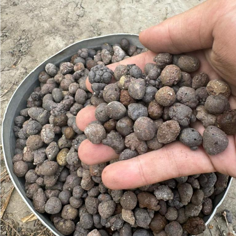 LECA Clay Pebbles / LECA Balls / Clay balls / *China* Hydrokorrels ...