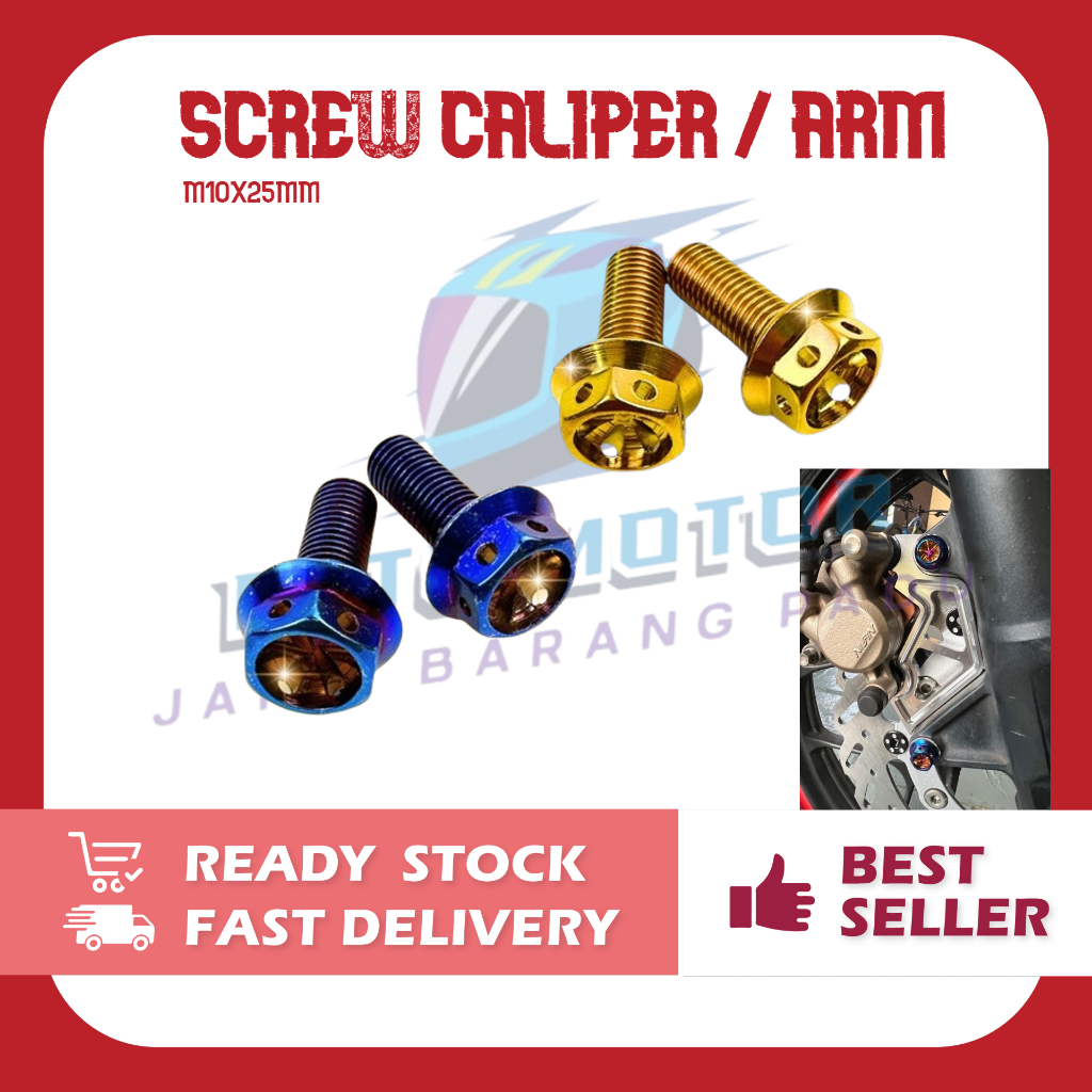 SCREW CALIPER PUMP & SWING ARM CALIPER SCREW GOLD TITANIUM SKRU SCRU ...