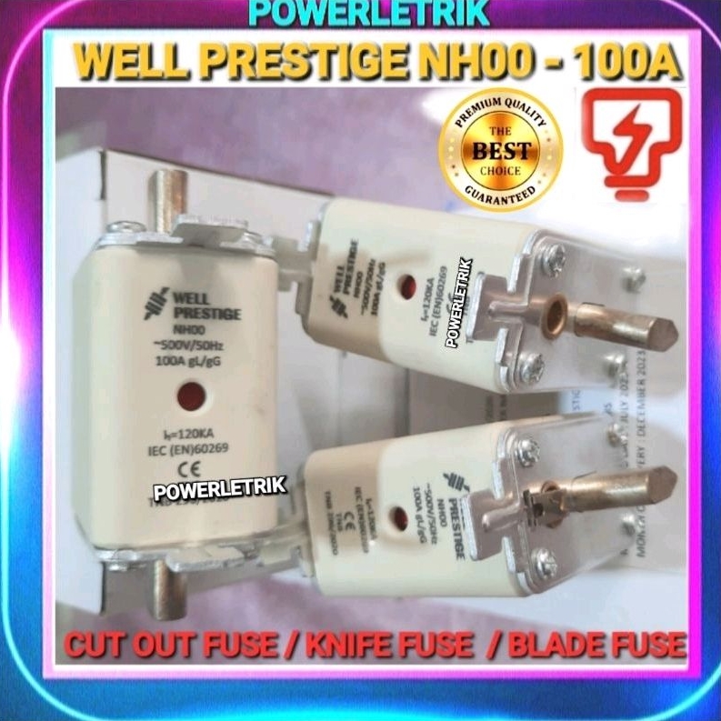 ORIGINAL FRSI / LINDNER / WELL PRESTIGE / UNH NH00 100A gL/gG CUT OUT ...