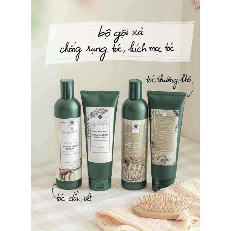 Weilaiya shampoo and conditioner ginger (450ml) prevents hair loss