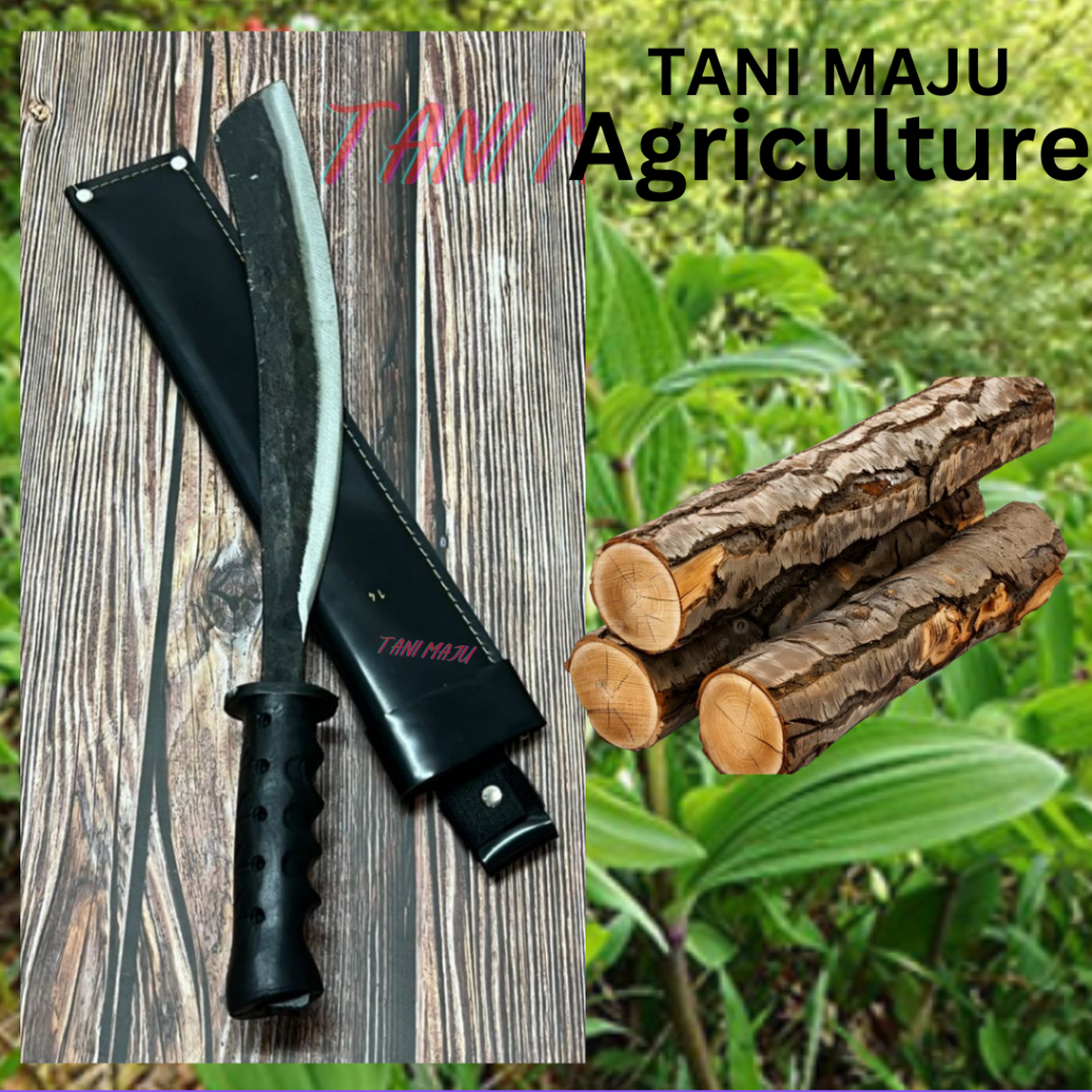 Pisau Sabit Rumput/ Alat Berkebun / Hutan Kebun / AGRICULTURE / MODEL ...