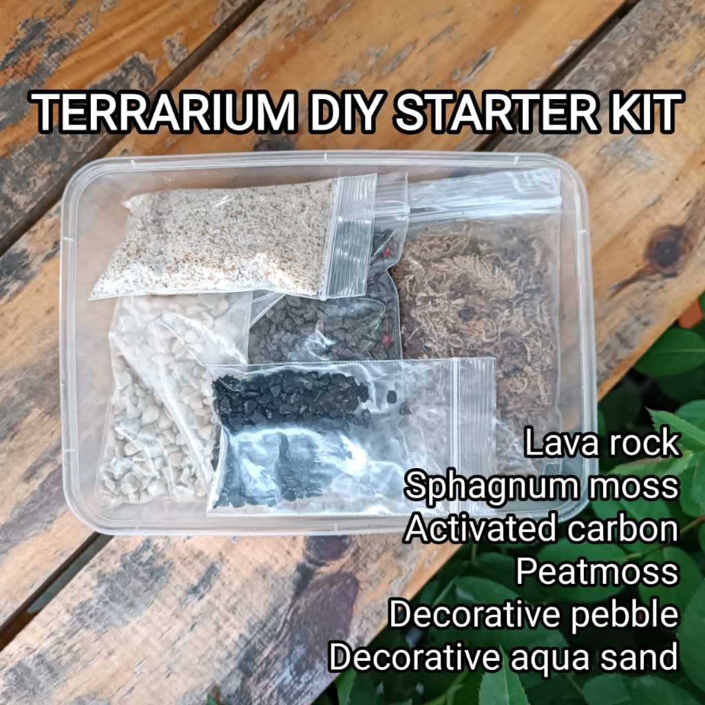 LUSHECO-Terrarium DIY Starter Kit Basic Material For Terrarium Set ...