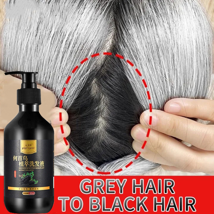 Black Hair Dye Shampoo, Black Shampoo Halal Grey Hair Dye Shampoo Grey