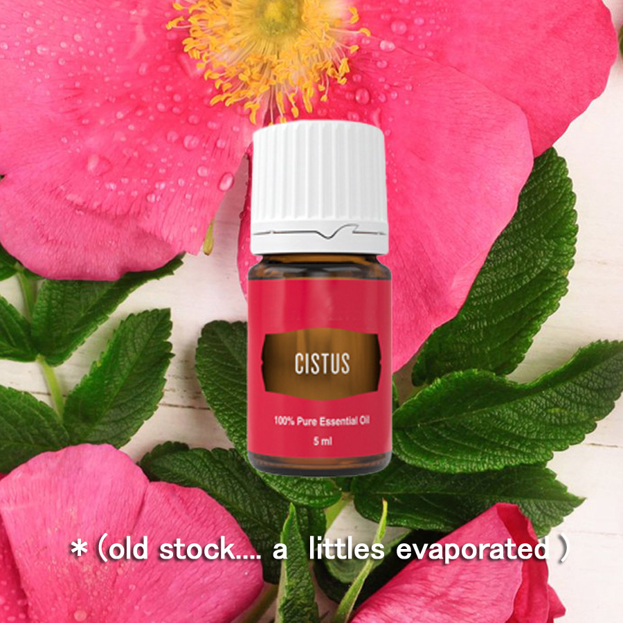 (Clear Stock) Cistus Essential Oil (5mlx1) (5mlx2) (a littles ...